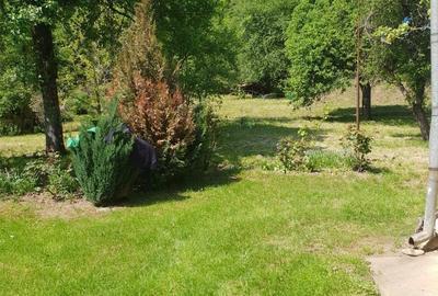 Casă cu 6 camere cu Teren 2559 Mp în Peștișani - 13