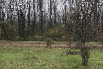 Teren de vânzare 10.028 mp - Mogoșoaia, lângă Pădurea Motoc - 8