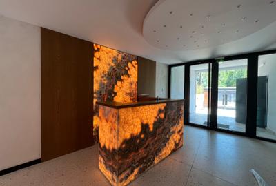 Inchiriere Apartament 3 Camere cu Gradina Iancu Nicolae