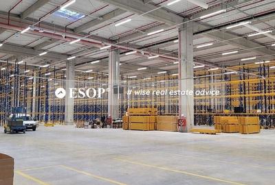 Spațiu comercial, de 5,300 mp, în Chitila - 7