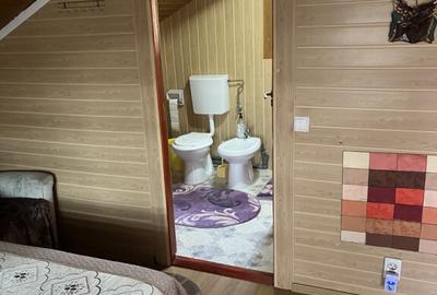 Casă cu 4 camere cu Teren 692 Mp în Vlădesti - 10