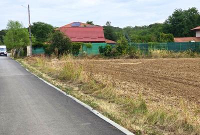 Teren Construcții intravilan de 500 mp, în Snagov - 6