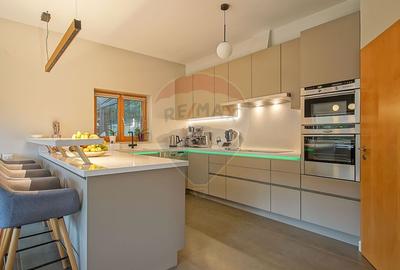 Vila moderna cu vedere spre padure Poiana Angelescu - 21