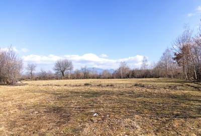 Teren Construcții intravilan de 5967 mp, în Bran - 10