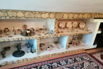 Casa 5 camere, 1100 mp teren, Birnova - 5