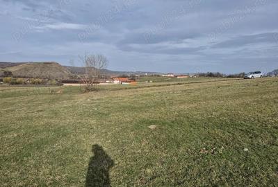 Vand teren in Orlat, judetul Sibiu 1500mp extravilan - 3