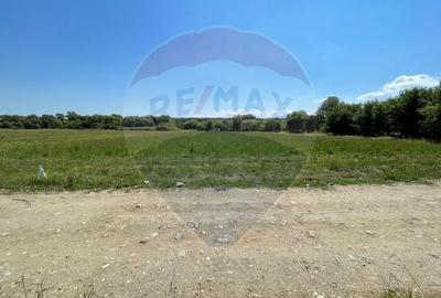 TEREN  INTRAVILAN  5000mp ORAS CISNADIE  STR. SELIMBARULUI - 5