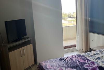 Apartament cu 3 camere decomandat în Nord - 8