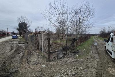 Teren de 1486 mp, în Pruni - 6