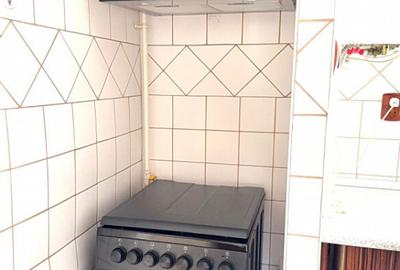 Apartament cu 2 camere 58 mp, etaj intermediar, pet friendly - 2