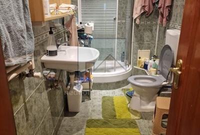 Vanzare apartament 3 camere (E1+M) in Vila (S+P+E1+M) - Teiul Doamnei - 15