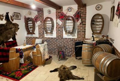 Vilă ultrafinisată cu două unități locative în zona Gruia - 11