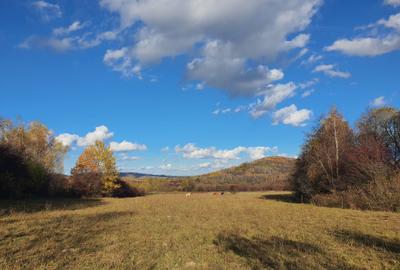 Terenul propus spre vanzare este situat in zona Bran -Tohanita   cu deschidere d - 3
