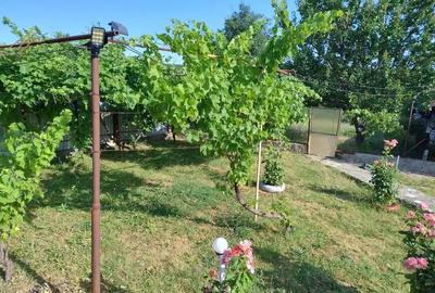 Casă cu 4 camere cu Teren 11000 Mp în Bobaița - 3