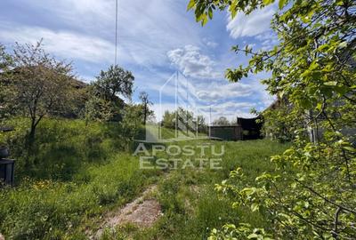 Teren Construcții intravilan de 2880 mp, în Nord - 1