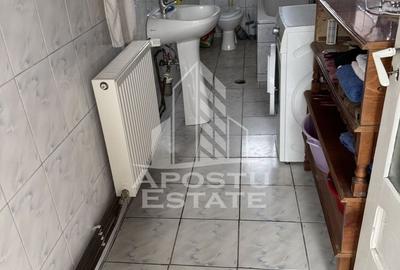 Casă unifamilială în Remetea Mare  cu teren de 3383 mp. - 3