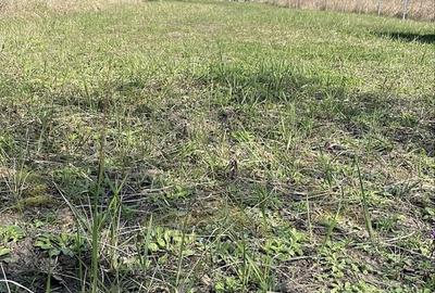 Spațiu comercial, în Central - 9