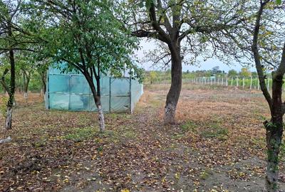 Casă individuală cu 2 camere cu Teren 2600 Mp în Crâmpoia - 8