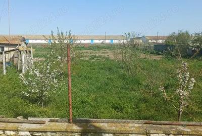 Spațiu comercial, în Baia - 1