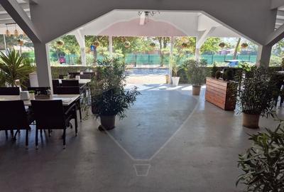 Spatiu comercial restaurant cu terasa de vanzare in  Olimp Constanta - 10