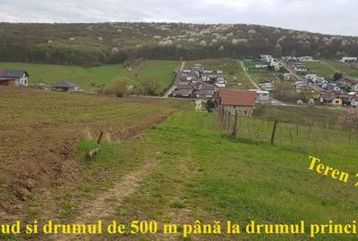 Teren de 700 mp, în Budiu Mic