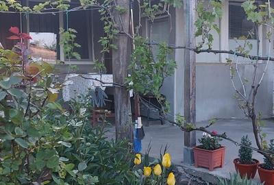 Casă cu 2 camere în Drăgănești - 8