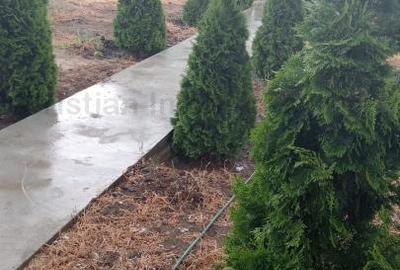 Casă cu 5 camere cu Teren 1222 Mp în Scorțaru Vechi - 9