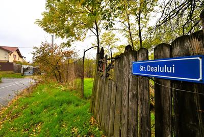 Lilieci, Sinesti, Judet Ialomita, Strada Dealului nr.1 - 12