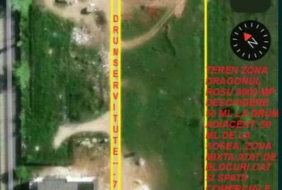 Teren Construcții intravilan de 8000 mp, în Dobroești - 5