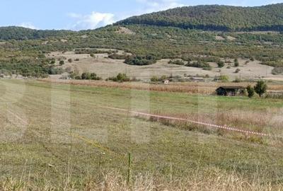 Teren Intravilan de vanzare, 4.900 mp, zona parcului Industr - 3