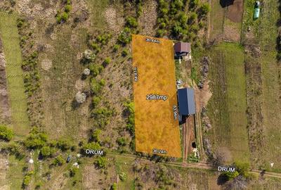 Teren intravilan de 2987 mp, în Ștefăneștii de Jos - 5