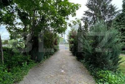 Casă cu 7 camere cu Teren 3000 Mp în Botizului - 18