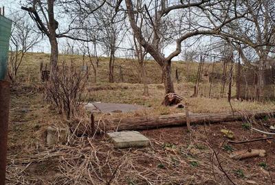 Casă cu 1 camere în Codlea - 7