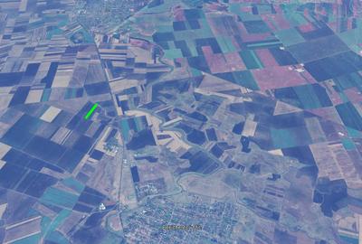 Teren de 10000 mp, în Becicherecu Mic - 1