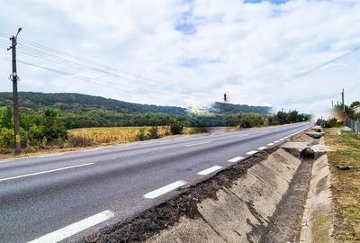 Teren de 14000 mp, în Drăganu - 2