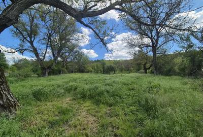 Vand loc de casa Goruia - 3