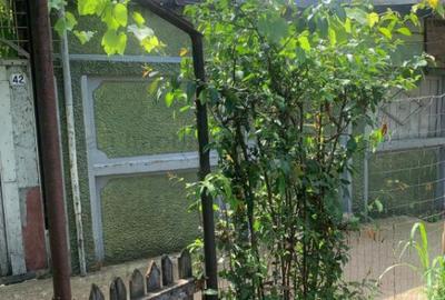 Teren 380 mp cu casa demolabila Chercea latime 17m ,132 eur - 3