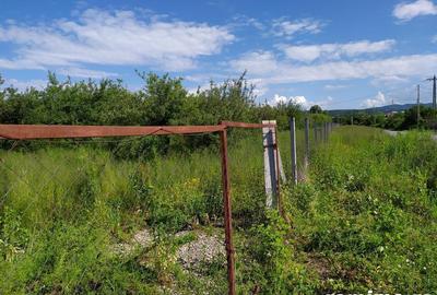 Teren de 10000 mp, în Băicoi - 2