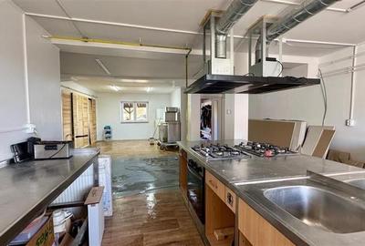 Transilvania Camping, domeniu de 14.400mp, Sanmarghita de Mures:2cladiri, aparta - 23