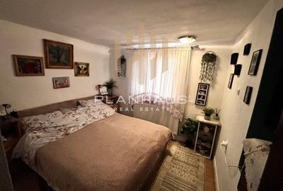 Casă cu 4 camere cu Teren 2300 Mp în Valea Borcutului - 6