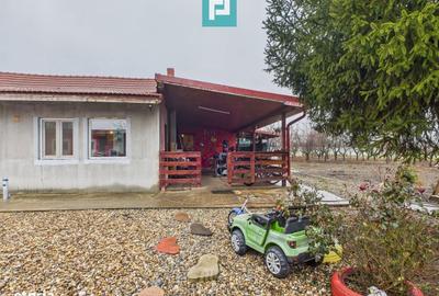 Casă cu 4 camere în Sintea Mică - 11