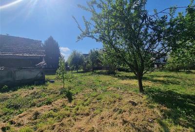 Teren intravilan de 14900 mp, în 1 Decembrie 1918 - 11