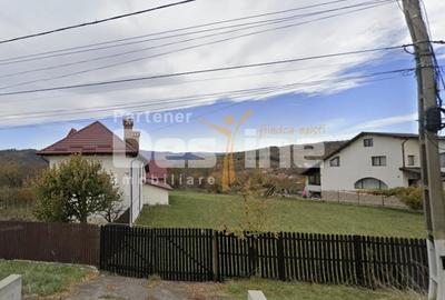 Teren Construcții intravilan de 9915 mp, în Valea Mare - 1