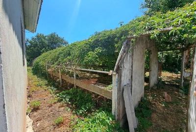 Casă cu 9 camere cu Teren 2375 Mp în Central - 4