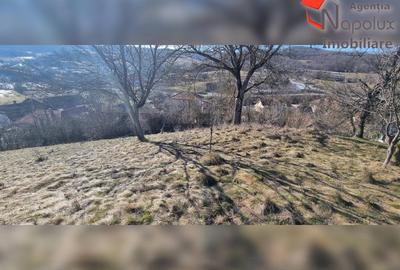 Teren de 31000 mp, în Suceagu - 3