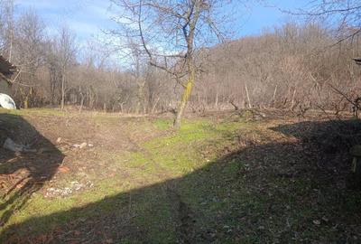 Casă în Blăjani - 1