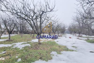 Spațiu comercial, în Tămădău Mare - 6