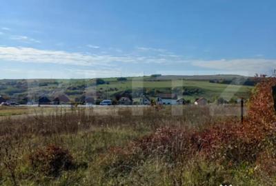 Teren de 2877 mp, în Copăceni - 1