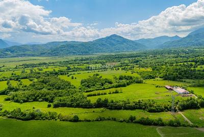 Teren agricol extravilan de 5800 mp, în Tohanu Nou - 7