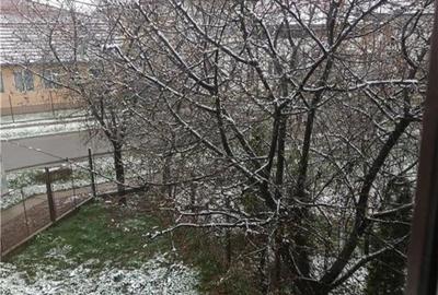 Casă cu 5 camere în Central - 2